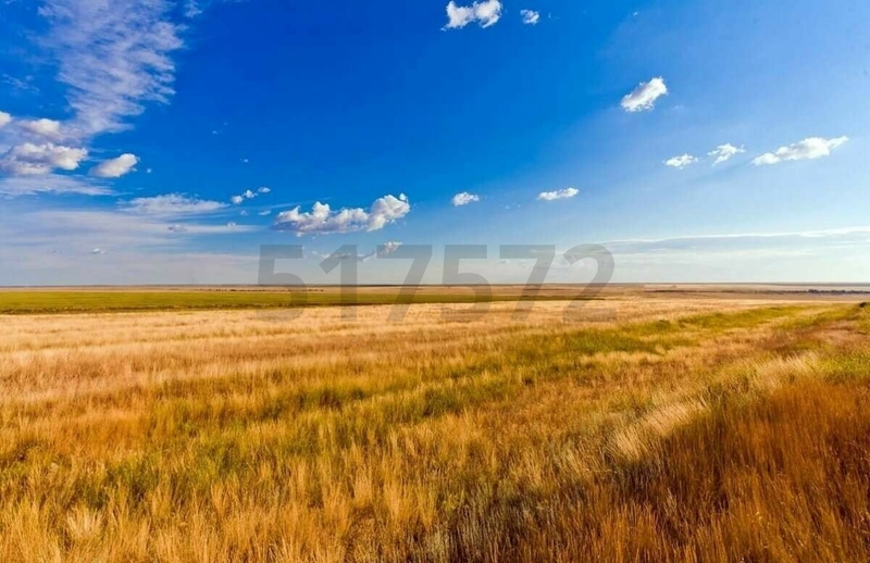 Купить земельный участок: г Саратов, обл Саратовская